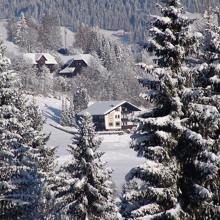 Cozy Apartment In Afritz Am See Near Gerlitzen Ski Area Exterior photo